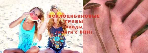 МДПВ Навашино