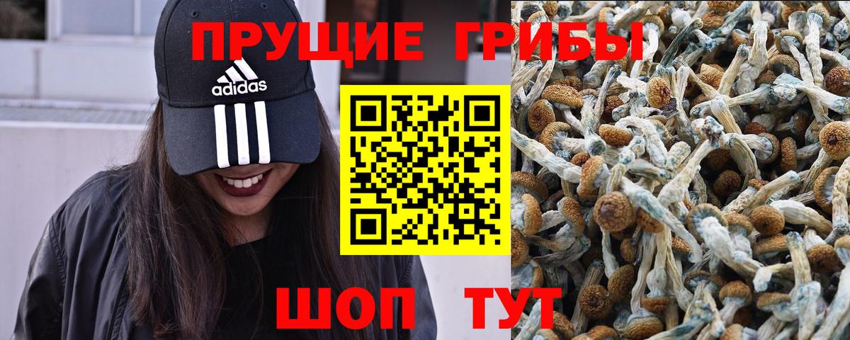 Псилоцибиновые грибы ЛСД Краснодар