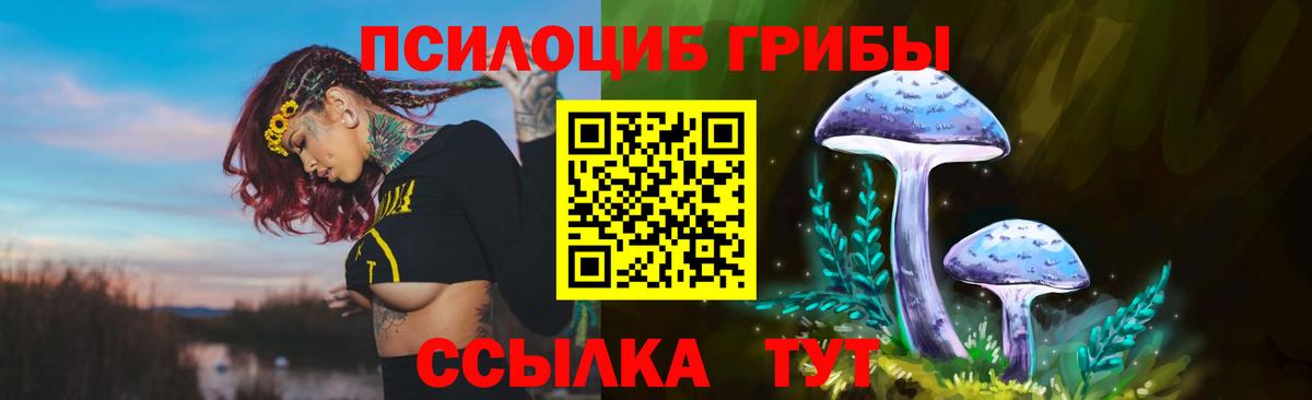 Псилоцибиновые грибы Magic Shrooms  Псилоцибиновые грибы мицелий  Вход с VPN  как найти закладки  Краснодар 
