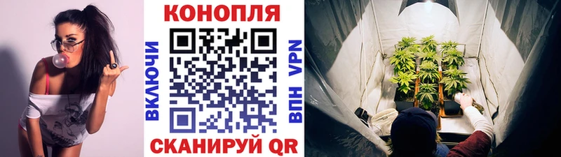 купить наркотик  Краснодар  Каннабис индика 